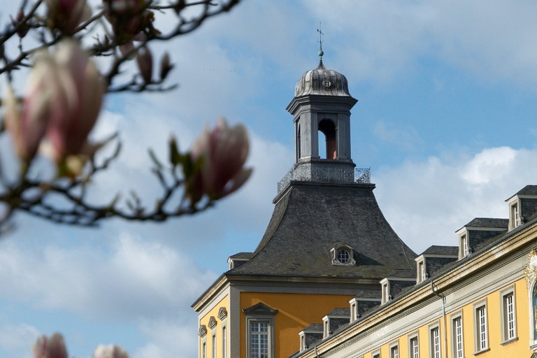 Fakultät_Fokus