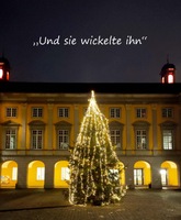 Weihnachtsbaum im Arkadenhof