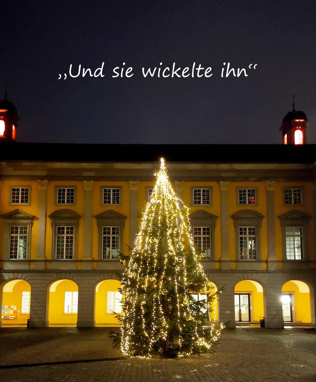 Weihnachtsbaum im Arkadenhof